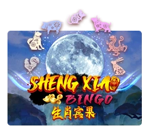 Sheng Xiao Bingo - TITANBET138