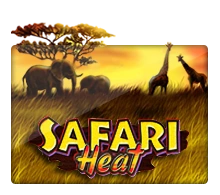 Safari Heat - TITANBET138