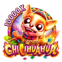 CHILIHUAHUA - TITANBET138