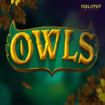 Owls - TITANBET138