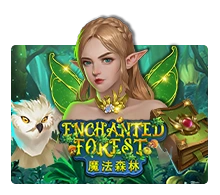 Enchanted Forest - TITANBET138