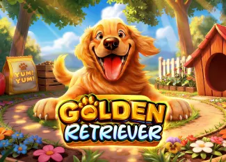 Golden Retriever - TITANBET138