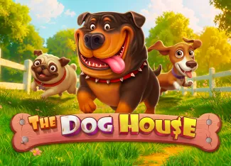 The Dog House - TITANBET138