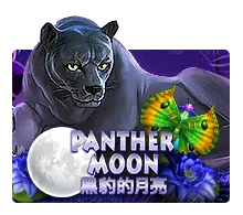 Panther Moon - TITANBET138