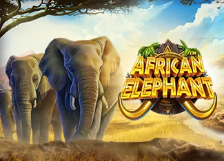 African Elephant - TITANBET138
